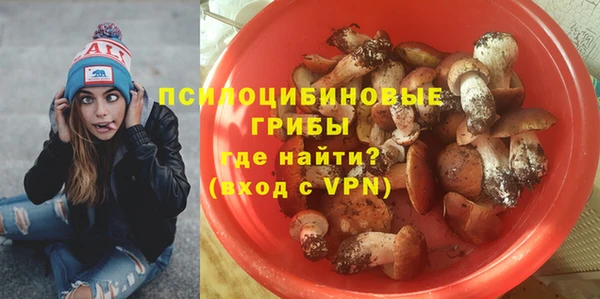 таблы Богородицк
